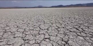 Brasil pode ter 12 dias de racionamento de água por ano até 2050; Nordeste e Centro-Oeste podem passar de 30 dias